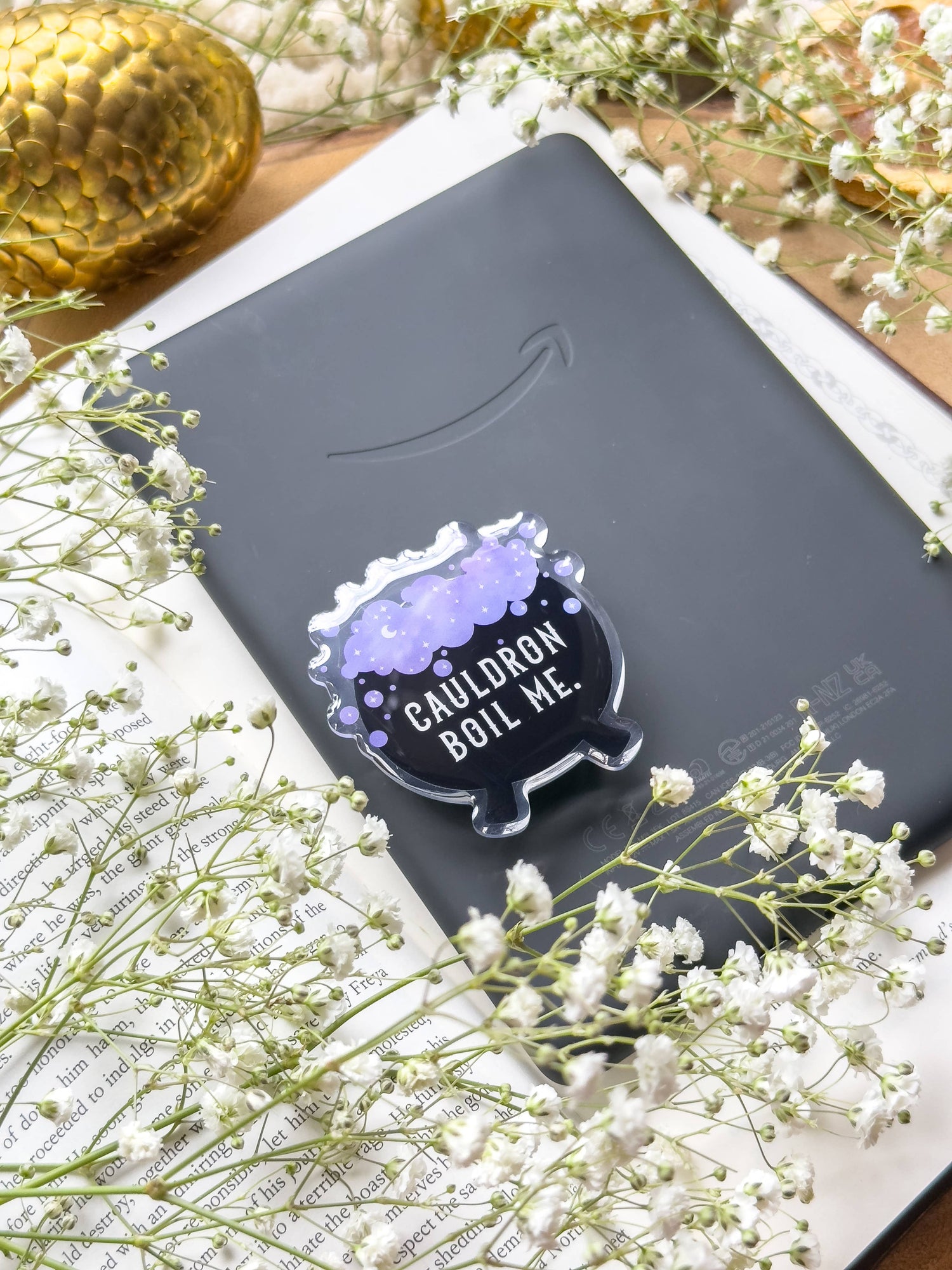 E-reader/phone acessories